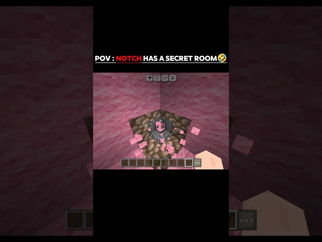 POV : That Notch's Room ☠️ #shorts #minecraft #viralshorts