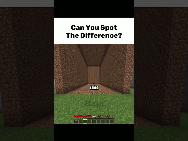 Can You Spot The Difference?