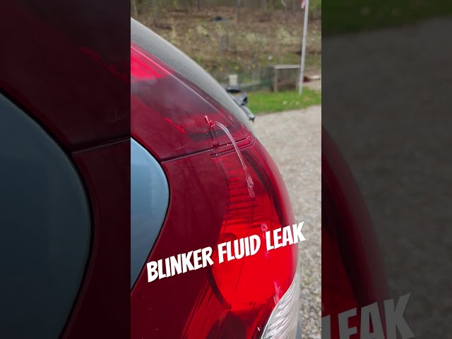 Blinker Fluid Leak