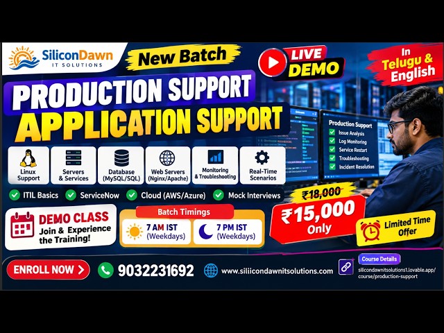 Production Support/Application Support DEMO New batch