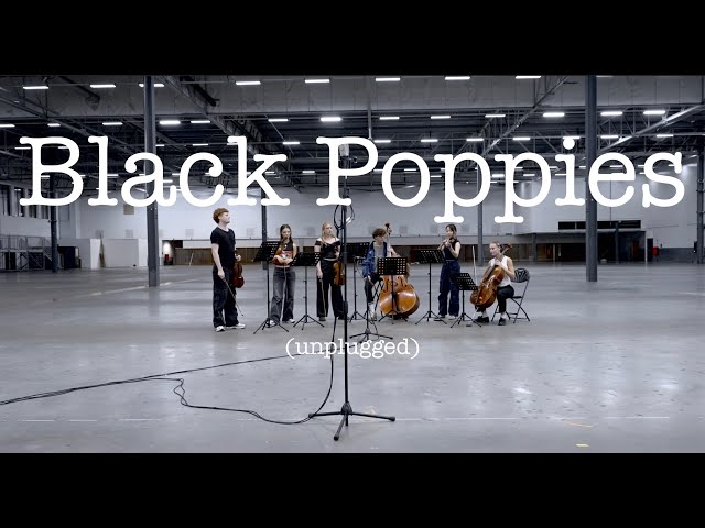 Underworld - Black Poppies (unplugged)