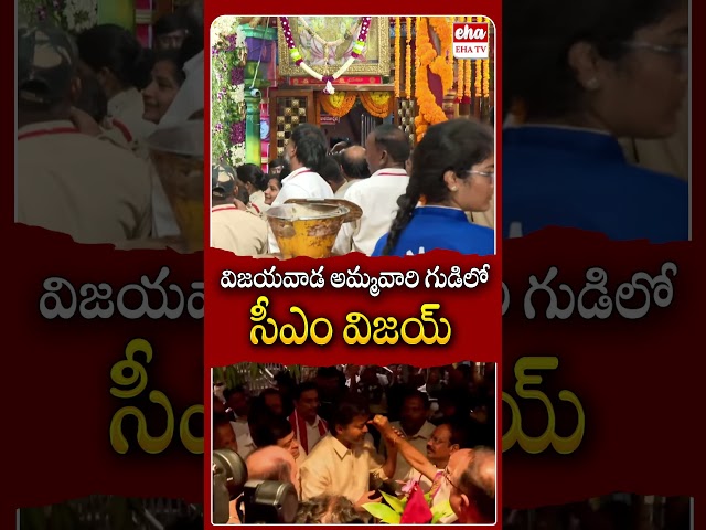 విజయవాడ అమ్మవారి గుడిలో సీఎం విజయ్#cmvijay #cmvijaynews #vijayawada #kanakadurgamma #ehatv