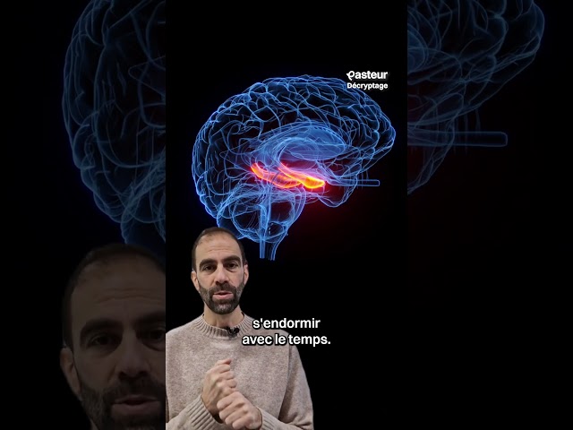 Réparer le cerveau ?