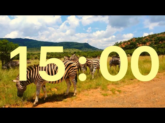 🦓 15 Minute Safari Timer with African Music and Lion Roar as Alarm 🌅