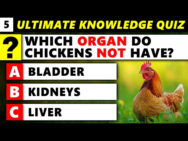 Titles, Money, Pseudoscience and Random Knowledge (Ultimate Knowledge Quiz 5)