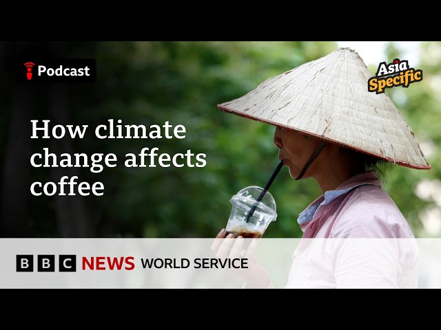 Why Vietnam’s coffee beans might outlast others - Asia Specific podcast, BBC World Service