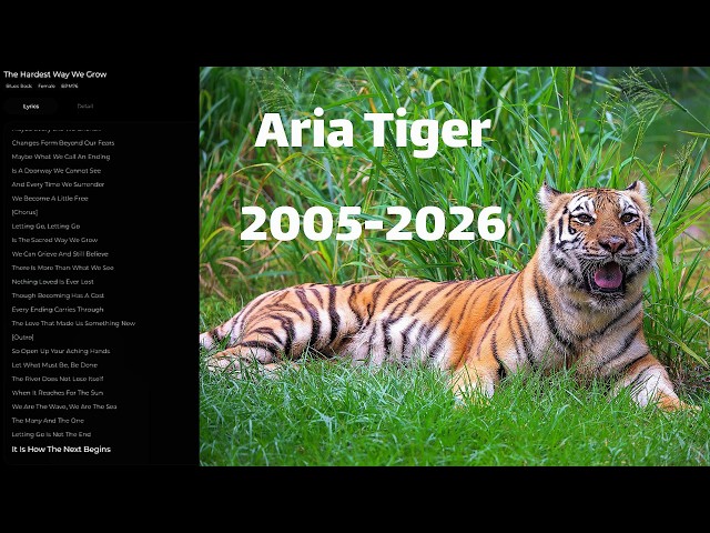 Aria Tiger 2005-2026