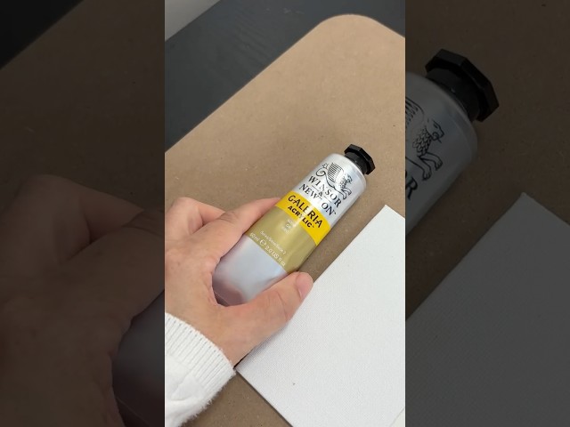 Side By Side Test of Galeria Gold vs Professional Gold for Acrylic Paint Comparison