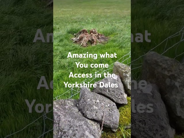 Amazing what you can find in the Yorkshire Dales .... #landscapephotography #yorkshiredales