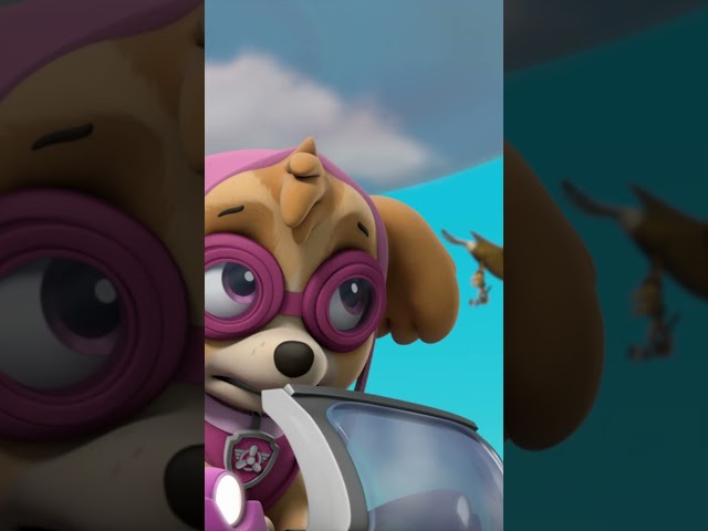 Skye Takes Care of One LARGE #Bird 🦅 #PAWPatrol #Shorts