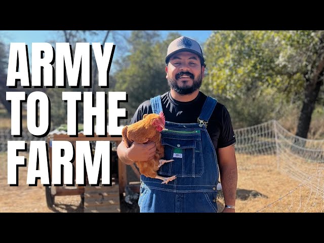 Why This Army Vet Is Raising Chickens in Texas