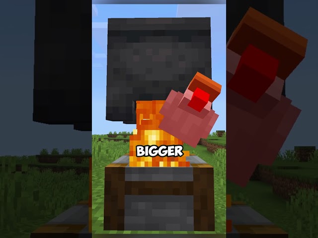 Don't Build a Chicken Farm Until You See This #minecraft #shorts #tips
