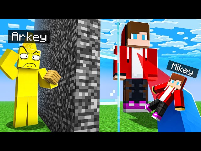 I Cheated Using TINY BUILD MOD in Minecraft!