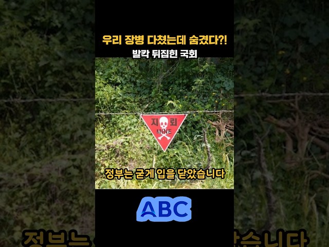 Government hush-up on DMZ incident… Parliament finally drops a bombshell!