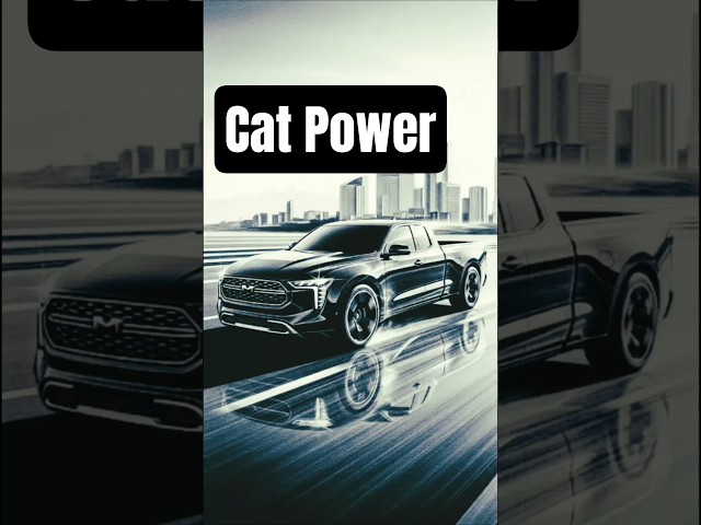 #CatPower