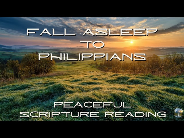 Fall Asleep to the Book of Philippians | Peaceful Scripture Reading (Audio & Text)