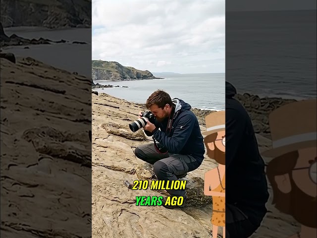 Dinosaurs Climbed Cliffs?! The Alps' Amazing Secret Revealed!