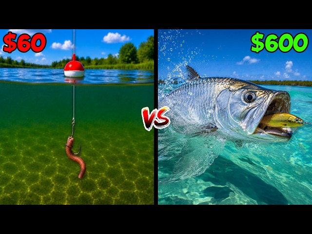 $60 vs $600 Budget Fishing Challenge