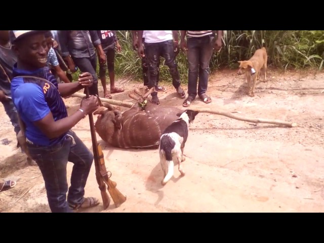 somewhere in Nigeria