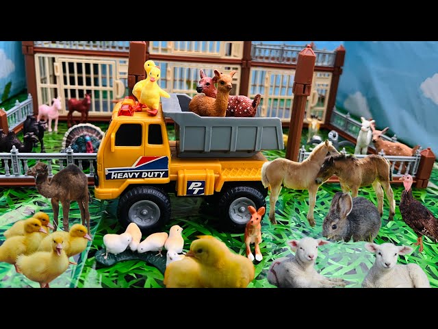 Baby Animals In The Amazing Zoo | New Arrivals in the Big Truck | Baby Camel, Baby Duck, Baby Turkey