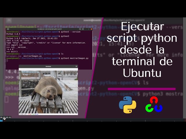Cómo ejecutar un script python .py en la terminal de Ubuntu
