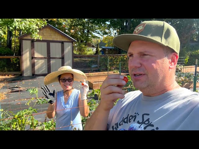Day in the Life of a Small Farm in Canada