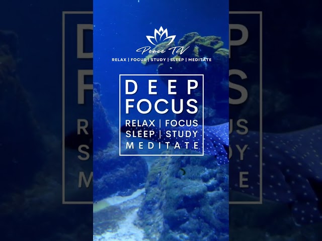 Deep Focus Flute meditation #relax #meditationmusic