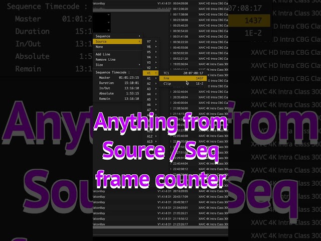 018 The Timecode Window #shorts #postproduction #avidmediacomposer