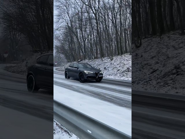Stelvio Quadrifoglio snowdrifting