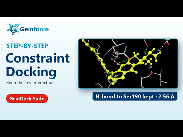 Constraint Docking Tutorial: Force Key H-Bond Interactions in Docking | GeinDock Suite