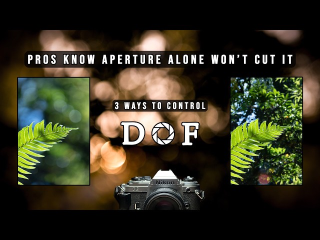 Learn Depth of Field in 6 Minutes (With Real Examples)