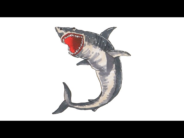 How to Draw Megalodon Shark |  Easy Step-by-Step Tutorial!