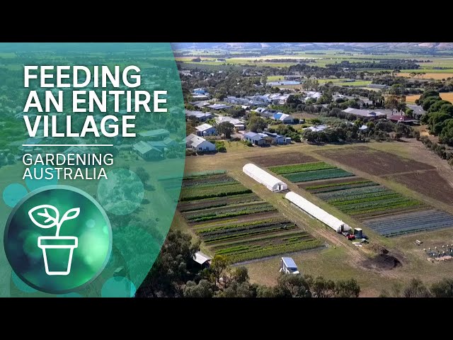 Growing food for an entire village