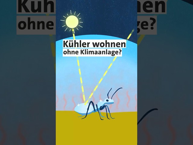 🐜🌡️ Kühler wohnen ohne Klimaanlage? | Studio Q