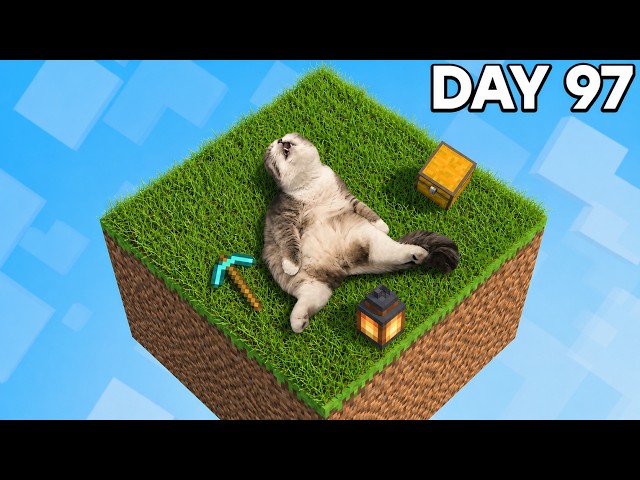 Cat Survived 100 Days in One Block