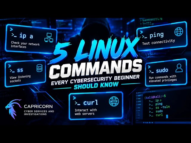 5 commands I actually use when working in a Kali terminal