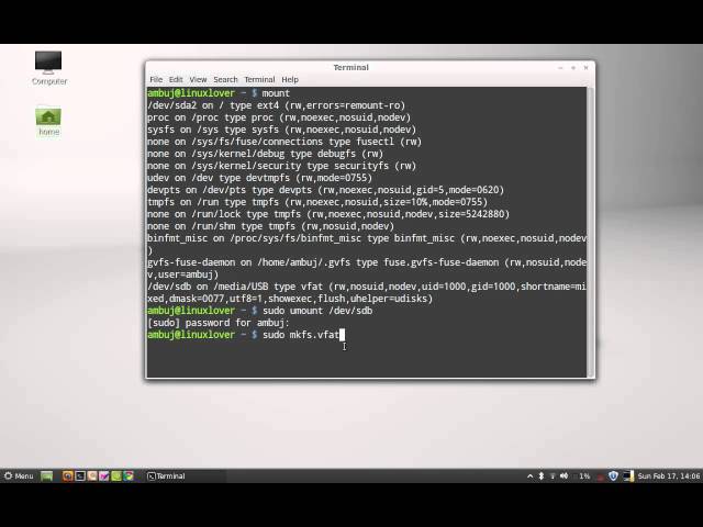 Format USB Flash Drive with command line in Linux Mint (Ubuntu)