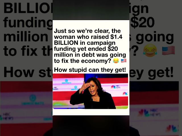 Kamala Harris Campaign Raised $1.4 Billion Yet Reportedly Ended in Debt | What Happened?