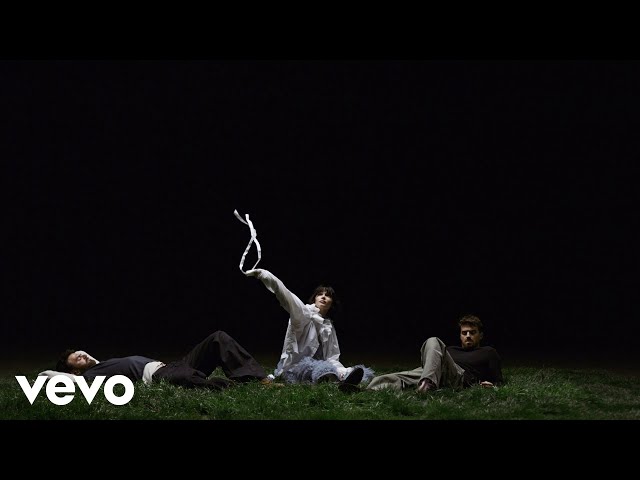 The Chainsmokers, Oaks - Wild (Official Visualizer)