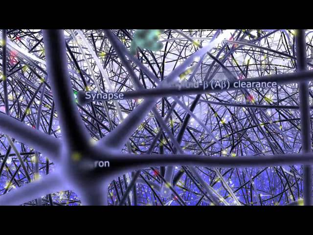 The Molecular Basis of Alzheimer's Disease - Prof. Patrick C. Fraering