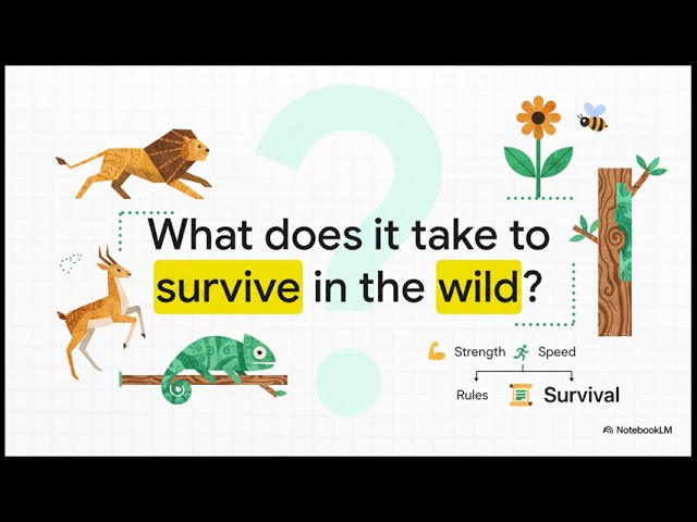 AQA GCSE Biology 7.1 Adaptations, Interdependence and Competition