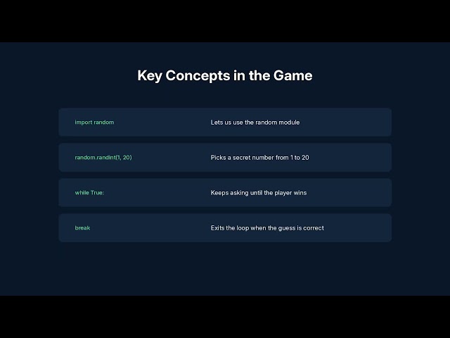 Coding with Shallibuka #coding #begineers #youtube 