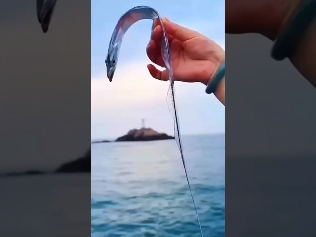doomsday fish