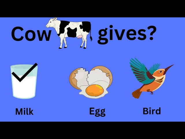 Kids IQ Video | Kids General Knowledge | Kids IQ Test with answers | Kids IQ Test for Free