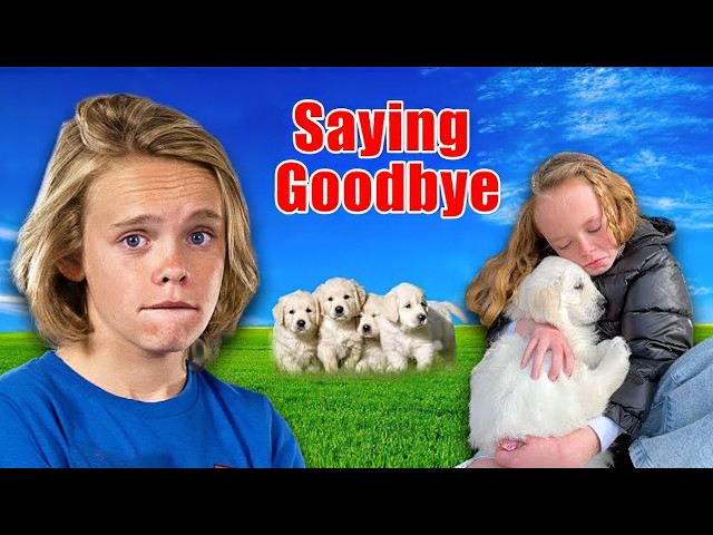 Our Favorite Fun Squad Vlogs Fun Squad