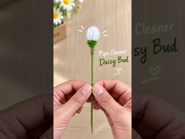 How to Make a Mini Daisy Bud with Pipe Cleaners 🌼 #shorts  #pipecleanercrafts