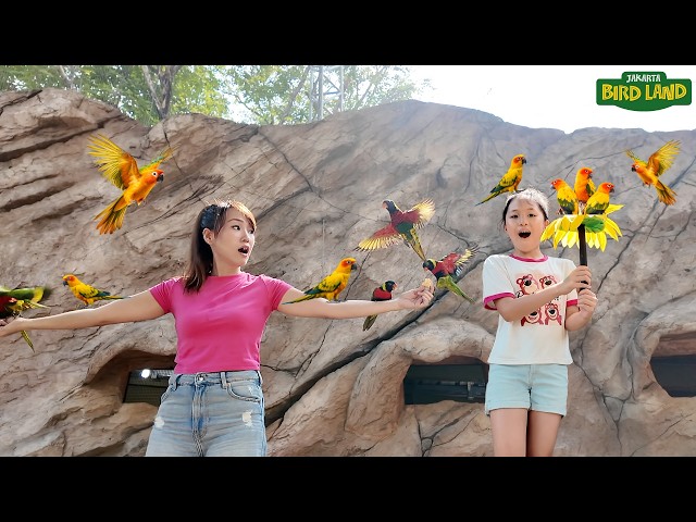 Ikut Pertunjukan Burung Joget dan Kasih Makan Burung di Taman Burung