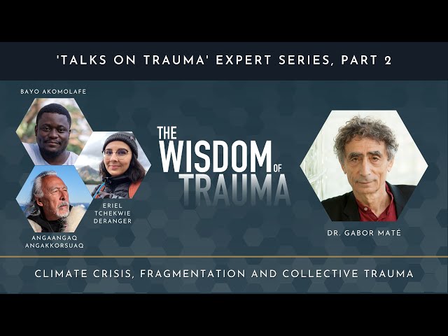 Climate Crisis, Fragmentation and Collective Trauma