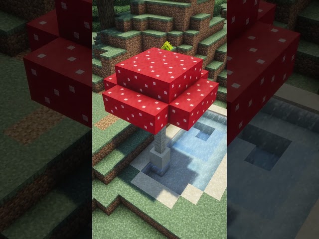 Mushroom Pond Design🍄