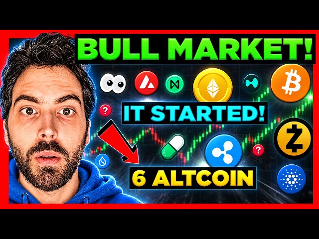 Why I Just Went ALL IN (6 Crypto Coins) Fully Explained in 14 minutes!